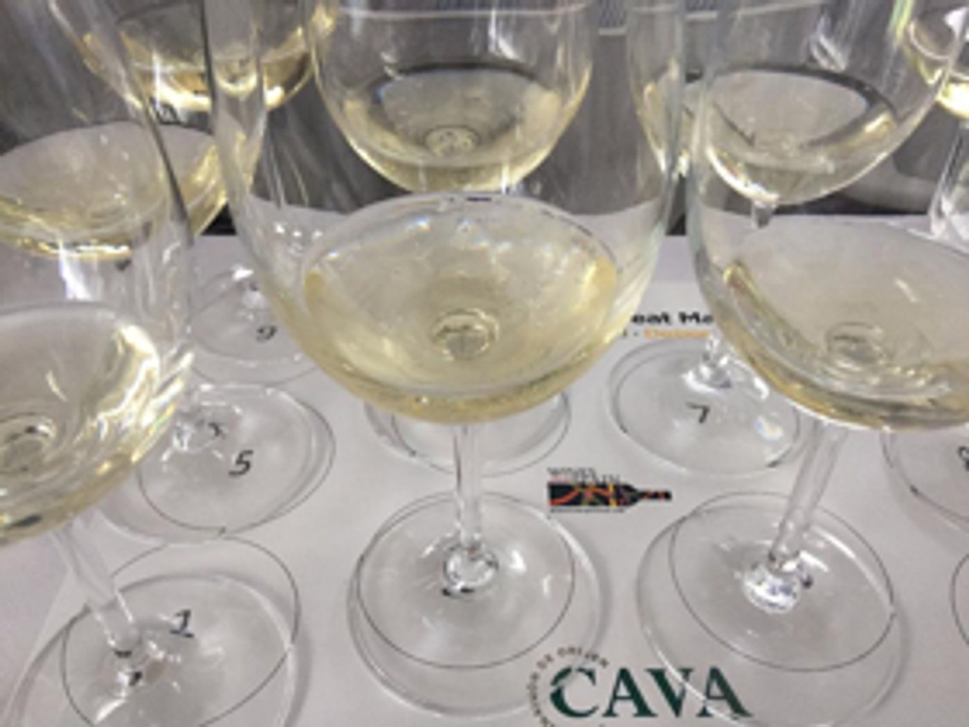 Marinas Menu:  SPAINS GREAT MATCH Showcases Wines of Spain and More Image