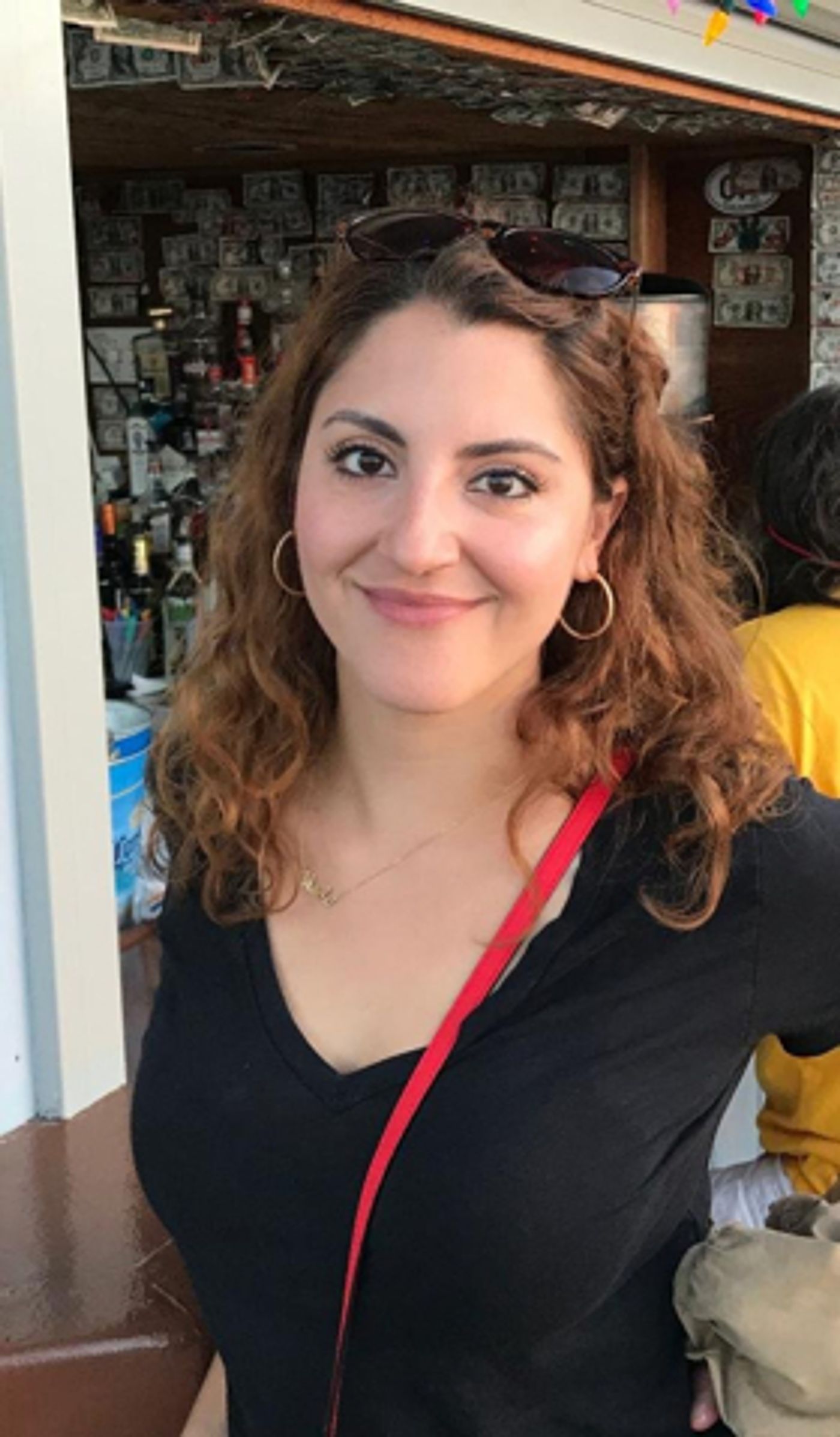 BWW Interview: Playwright Nicole Pandolfo and BRICK CITY at Premiere Stages  Image