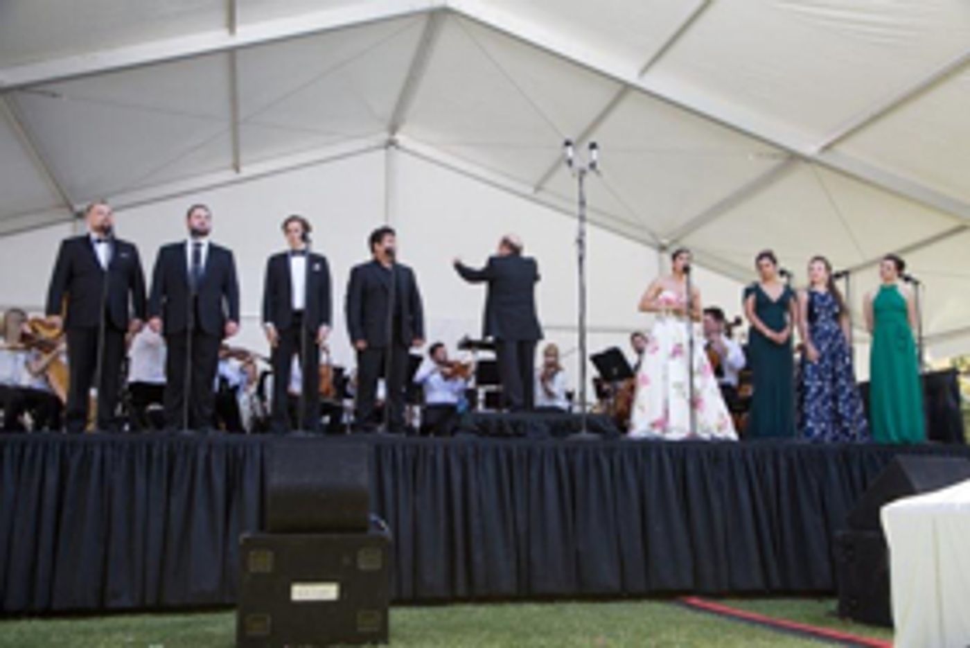 Pack Your Picnic Basket! Palm Springs Opera Guild Presents 20th Annual OPERA IN THE PARK Pack Your Picnic Basket! Palm Springs Opera Guild Presents 20th Annual OPERA IN THE PARK Image