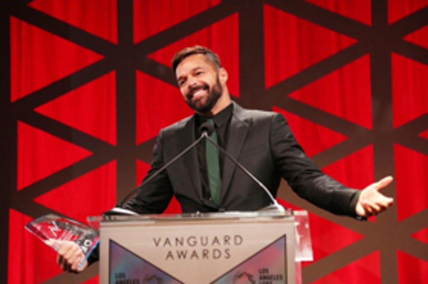 Ricky Martin, Greg Berlanti & Robbie Rogers, and Ariadne Getty Honored at 49th Anniversary Gala Vanguard Awards  Image