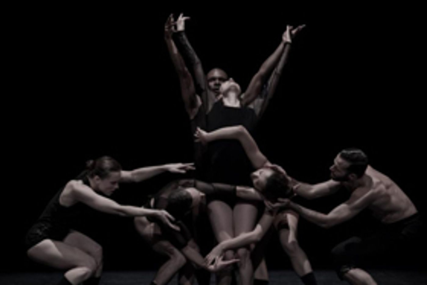 STG Presents L-E-V Dance Company's OCD LOVE Image