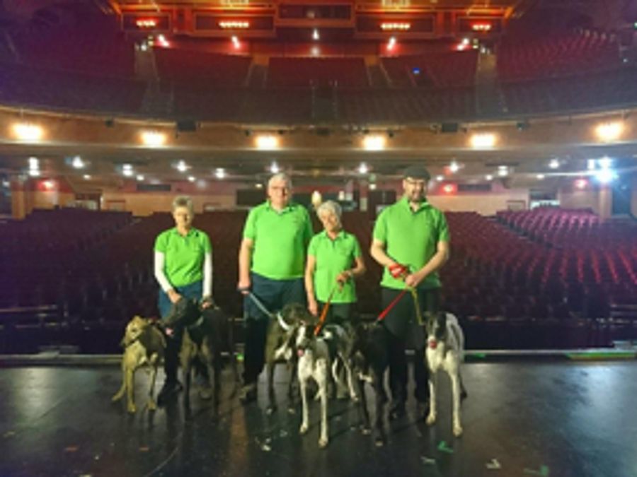 Rescue Greyhounds To Grace The Stage At The Opera House Manchester Image