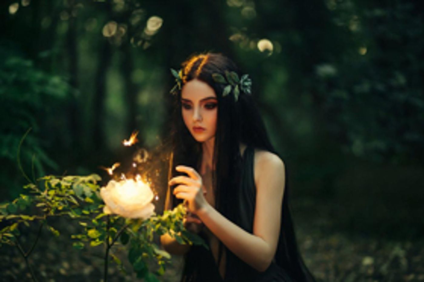 Pompano Beach Cultural Center Hosts Family-Friendly A MIDSUMMER NIGHT'S DREAM Pompano Beach Cultural Center Hosts Family-Friendly A MIDSUMMER NIGHT'S DREAM Image