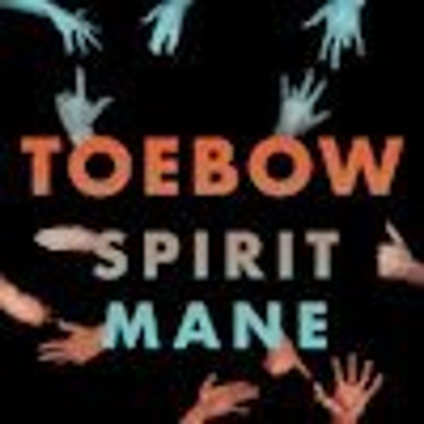 Toebow Announces New EP SPIRIT MANE  Image