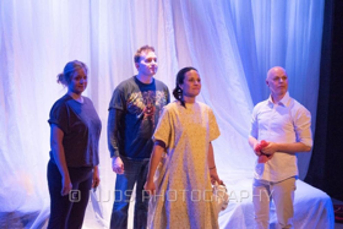 Review: DANI GIRL at Wheelhouse Theatrical Productions At Theatre B  Image