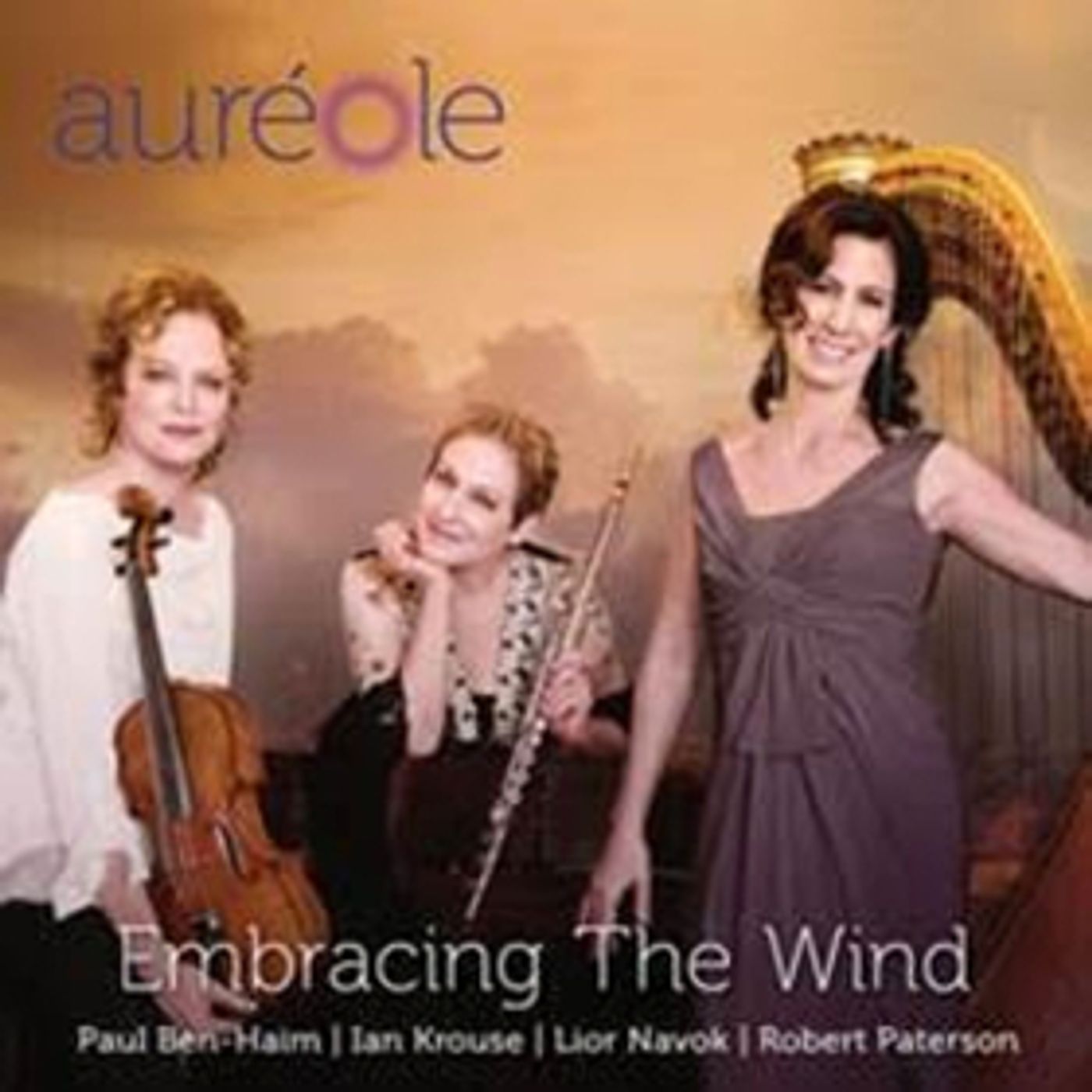 American Modern Recordings Presents AUREOLE – EMBRACING THE WIND  Image