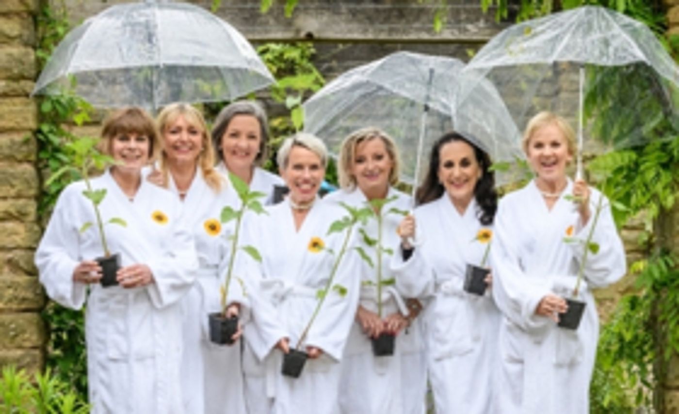 THE CALENDAR GIRLS Plant A Legacy Of Sunflowers At Birmingham's Winterbourne House & Gardens  Image
