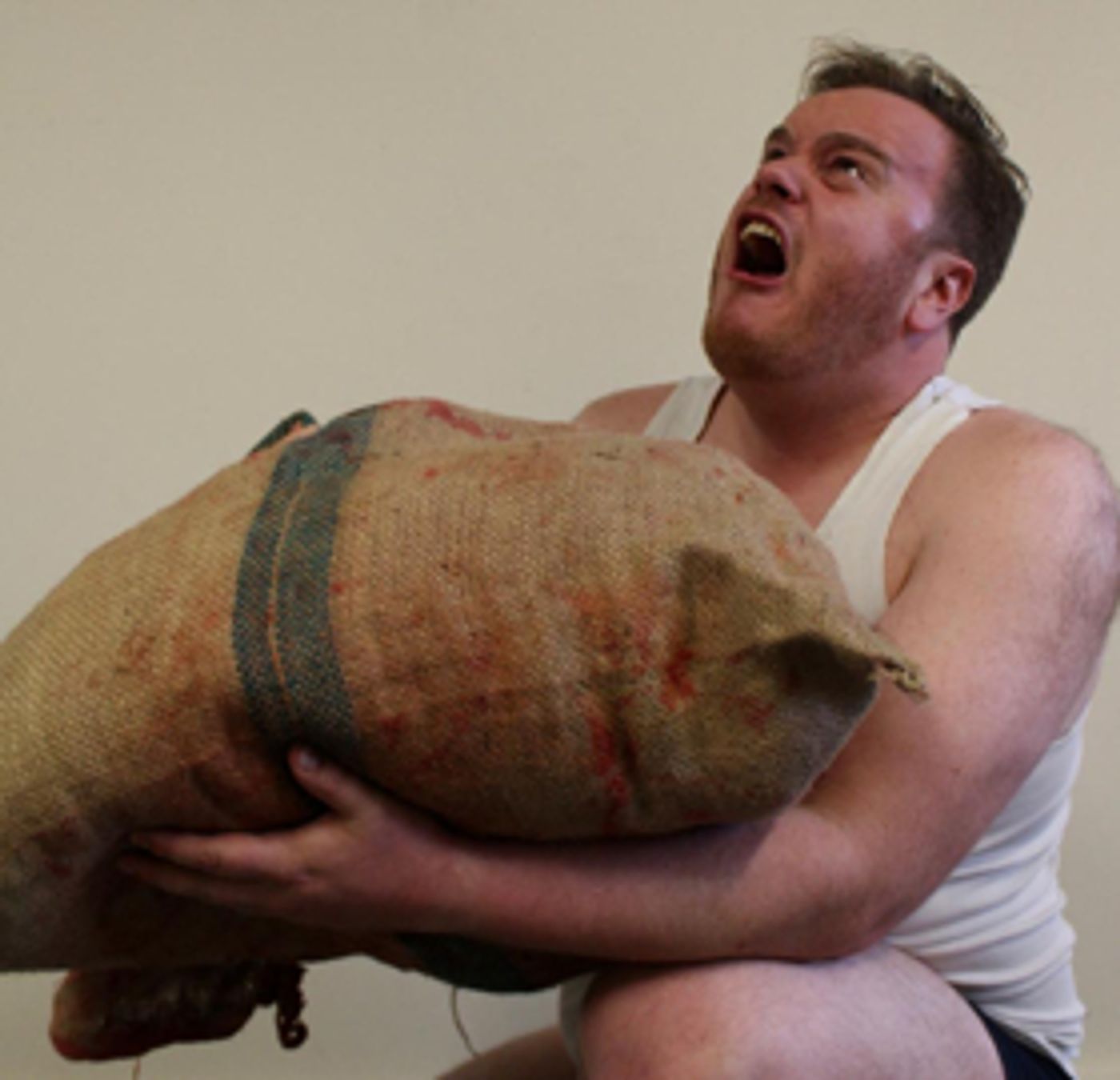 THE BEST SHOW Comes to Adelaide Fringe  Image