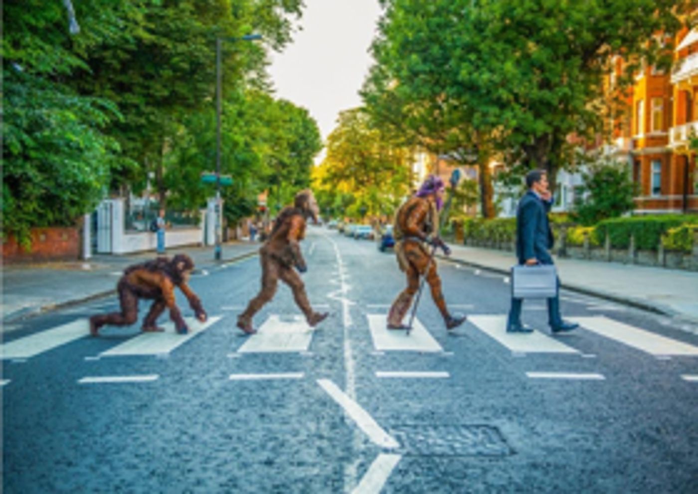 Cirque du Soleil's TOTEM Adds Two Extra Weeks at Royal Albert Hall Cirque du Soleil's TOTEM Adds Two Extra Weeks at Royal Albert Hall Image