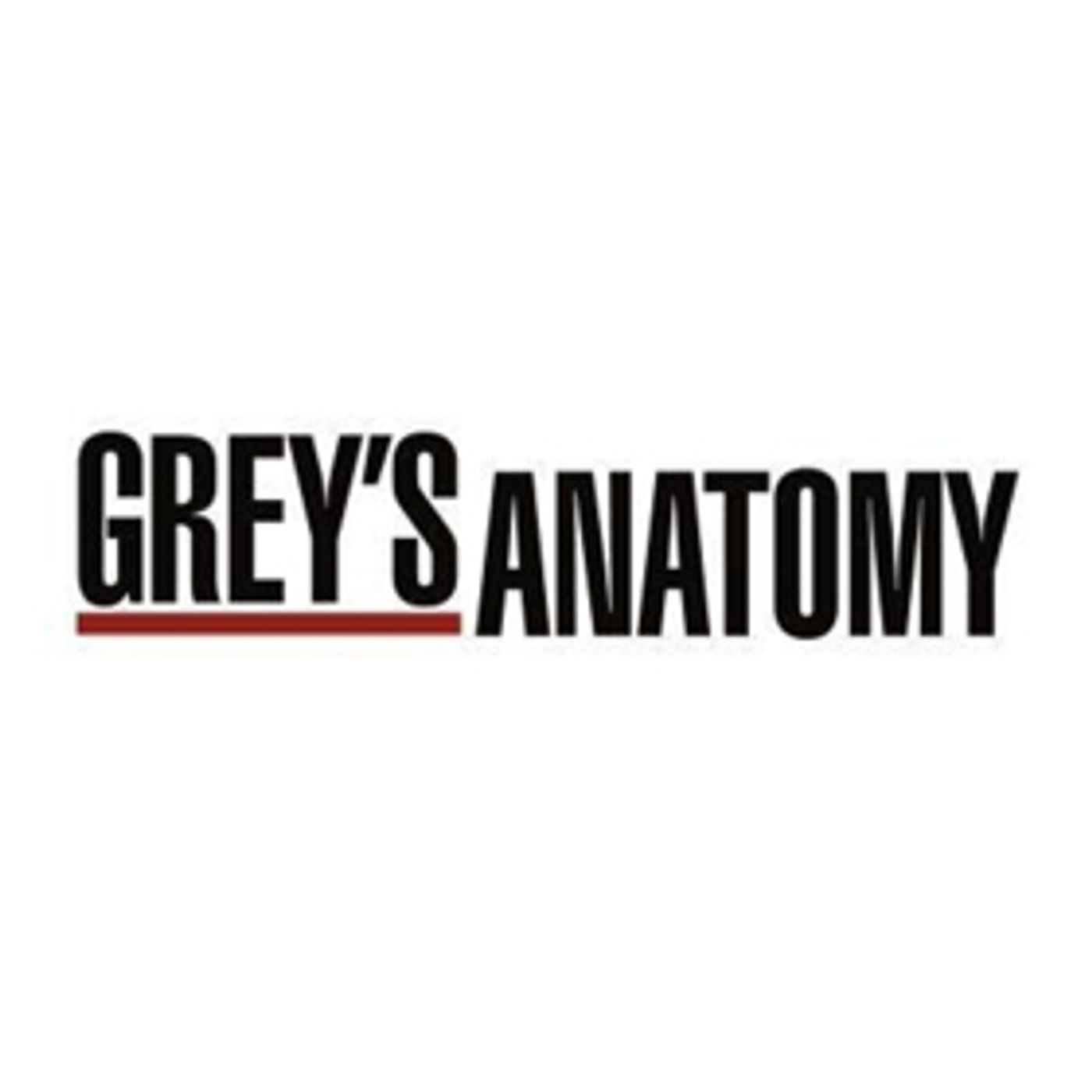 ABC Renews Its Longest-Running Primetime Drama GREY'S ANATOMY for a Historic 15th Season  Image
