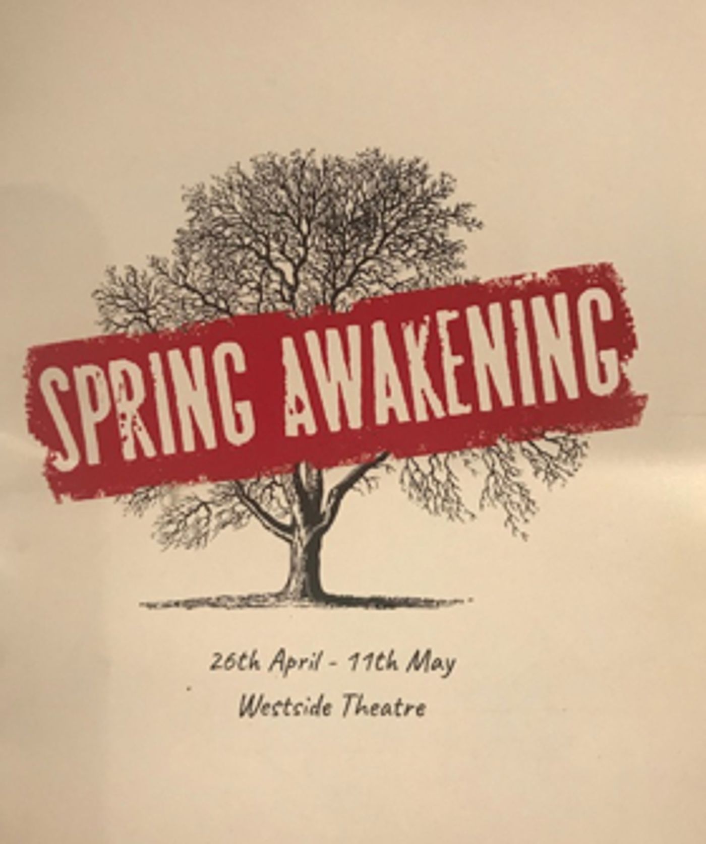 Review: SPRING AWAKENING at Westside Theatre TAURANGA Review: SPRING AWAKENING at Westside Theatre TAURANGA Image