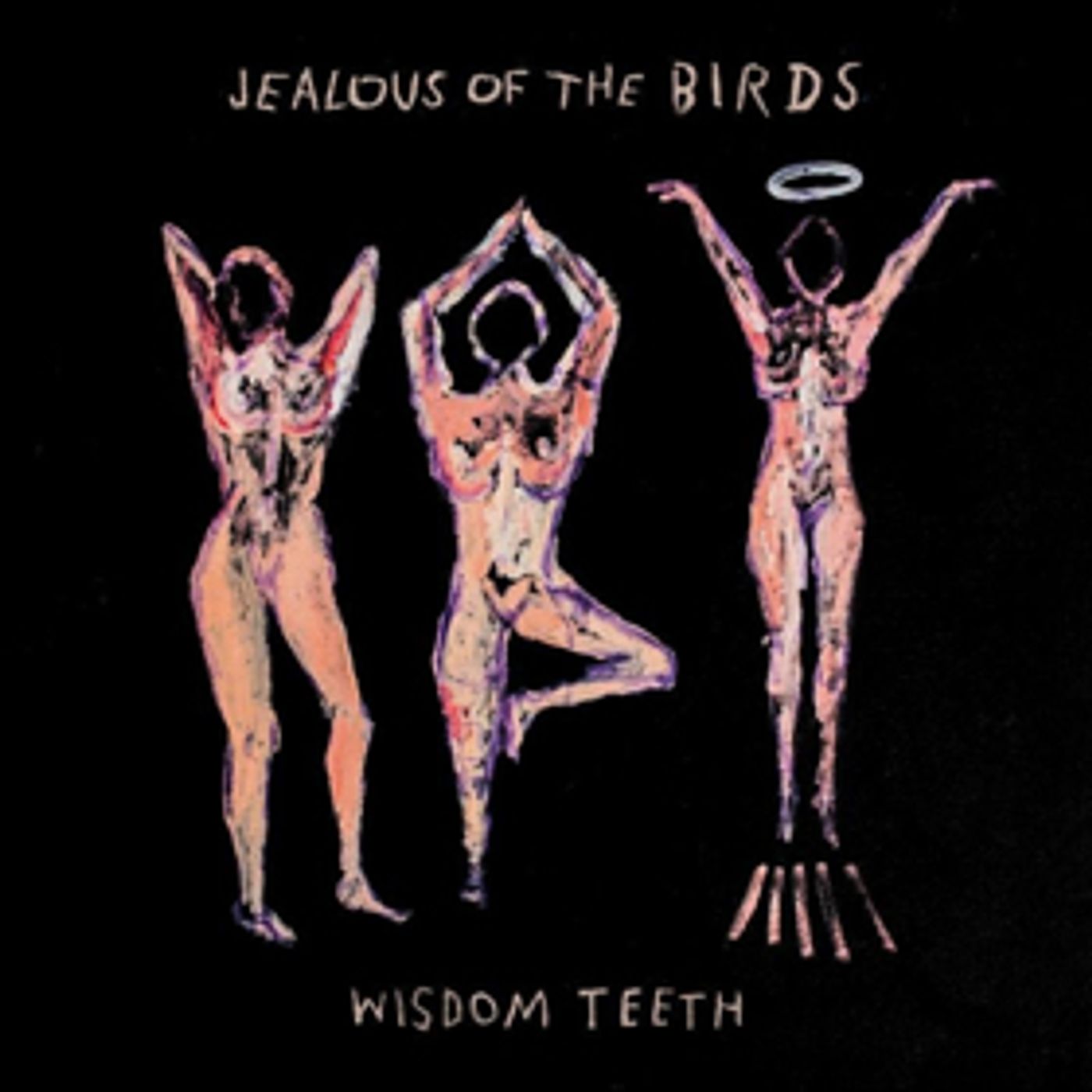 Jealous Of The Birds Releases New EP, 'Wisdom Teeth' Jealous Of The Birds Releases New EP, 'Wisdom Teeth' Image
