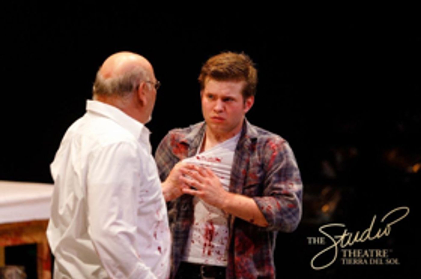 Photo Flash: The Studio Theatre Wraps Season with RED  Image