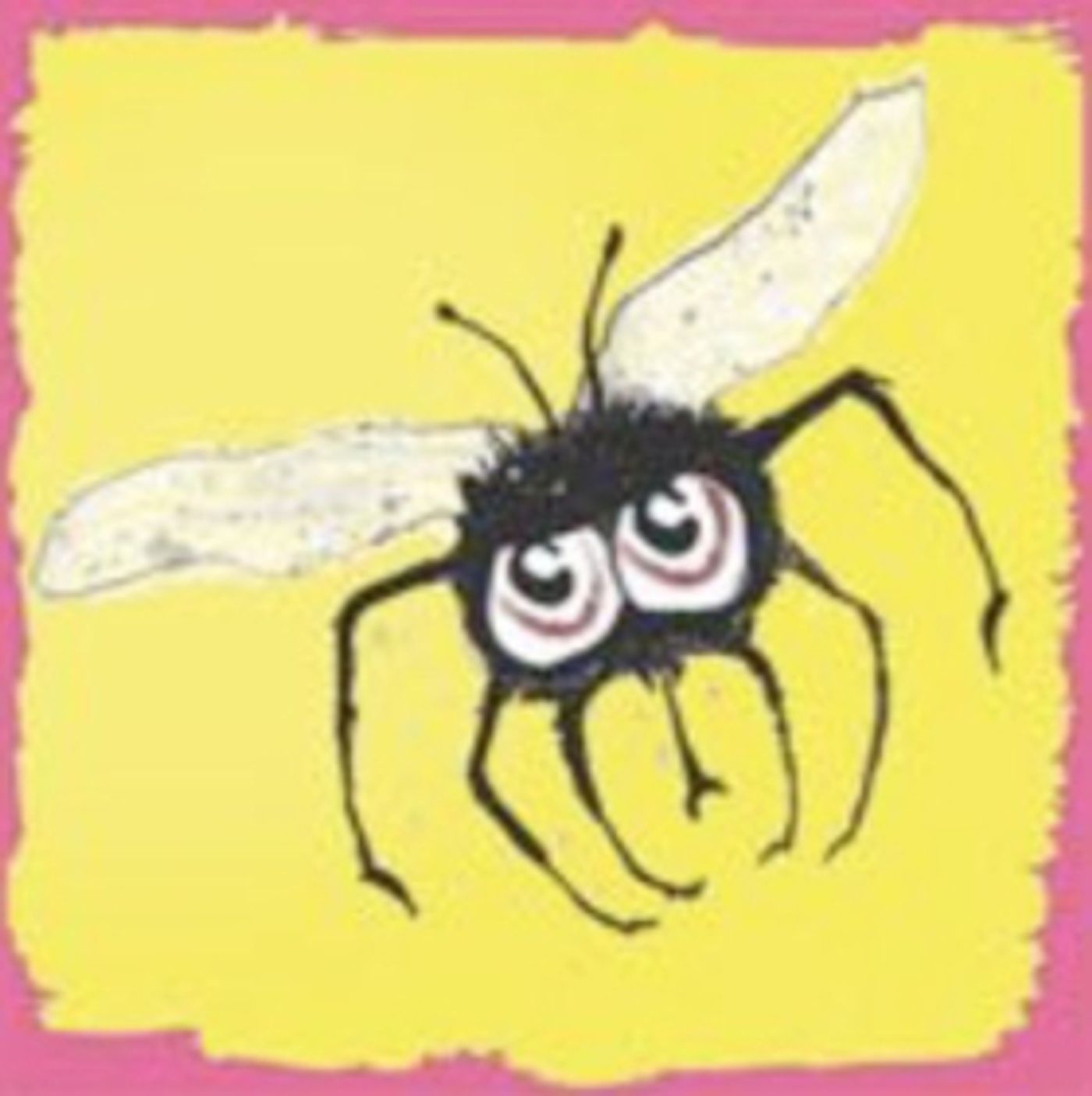 FLIES Comes to Edinburgh Fringe  Image