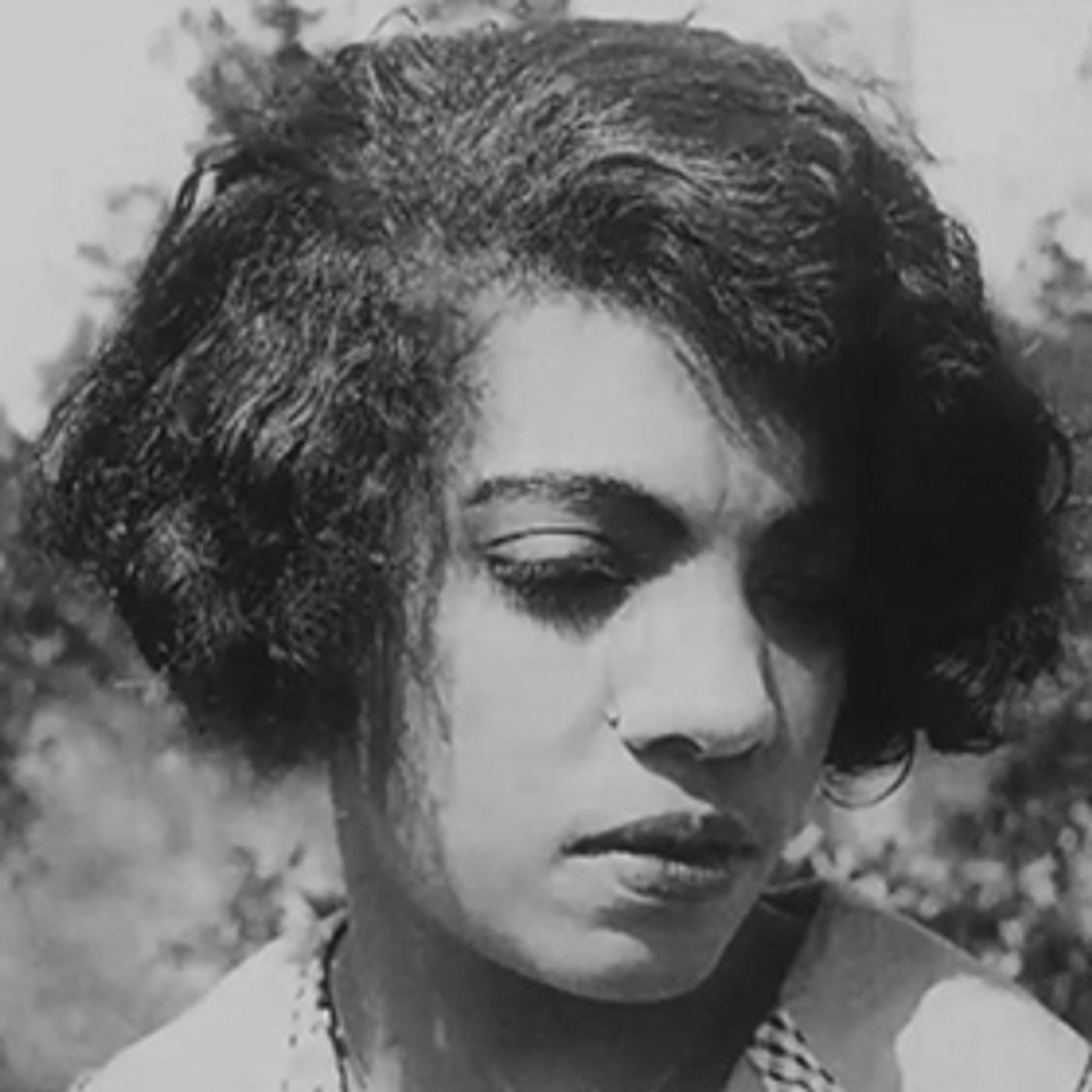 THE FLYING ACE Makes Duck Soup Cinema Debut  Image