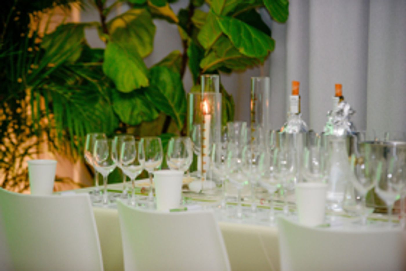 BORDEAUX Dry White Blends for Sipping, Pairing and Enjoying  Image