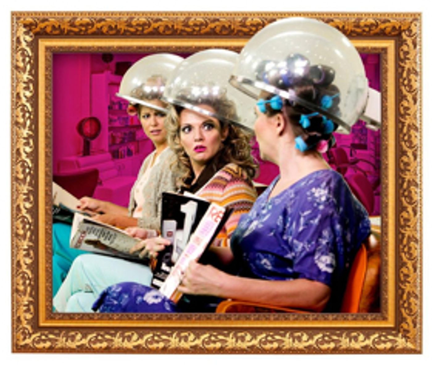 Maltz Jupiter Theatre Kicks Off Season with STEEL MAGNOLIAS Maltz Jupiter Theatre Kicks Off Season with STEEL MAGNOLIAS Image