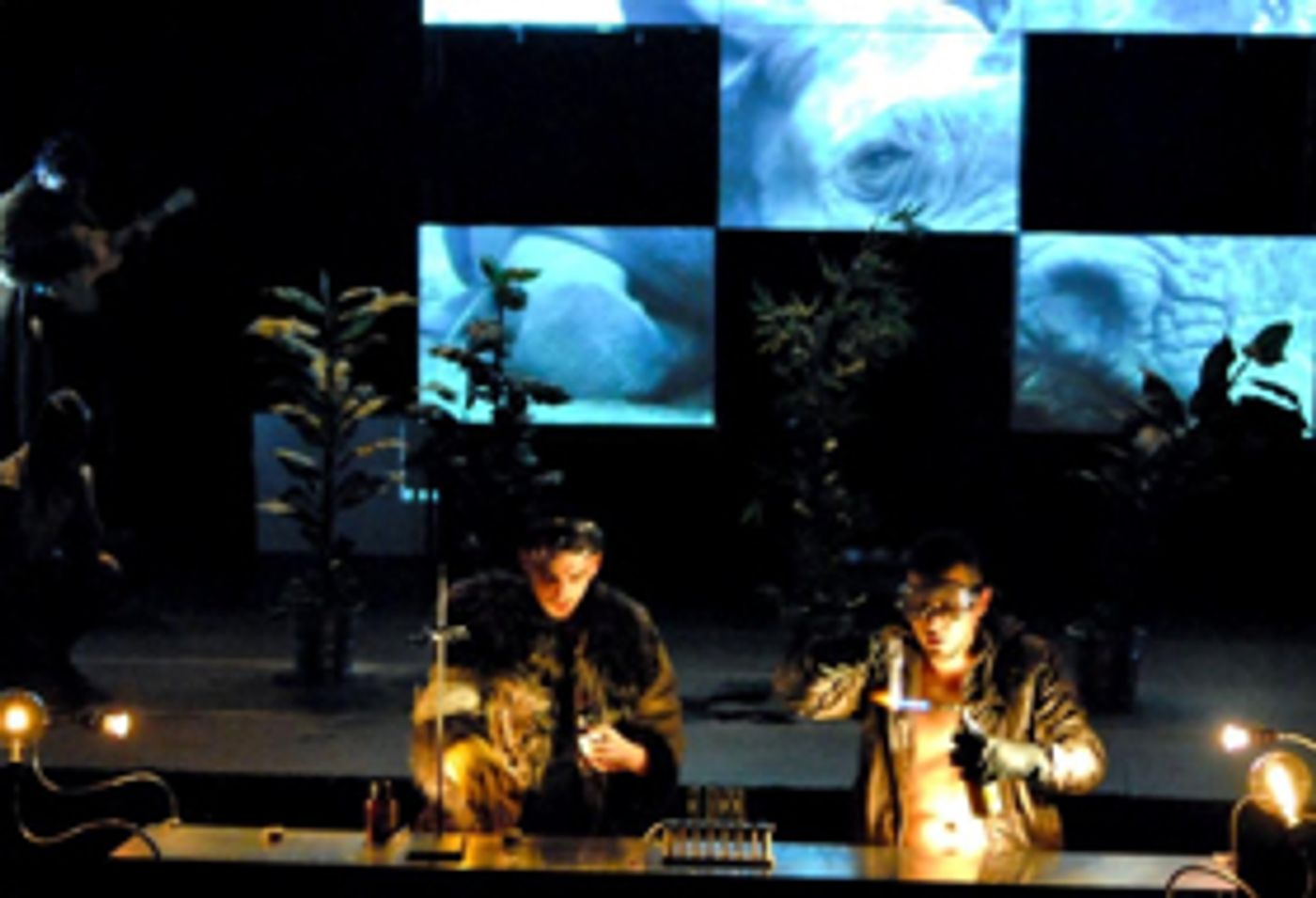 Animalia, una reflexión acerca de la naturaleza, la evolución y la muerte Animalia, una reflexión acerca de la naturaleza, la evolución y la muerte Image