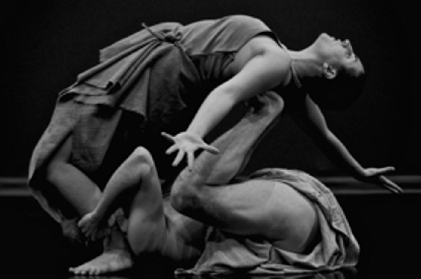 UM School of Theatre & Dance to Present Environmental Dances  Image