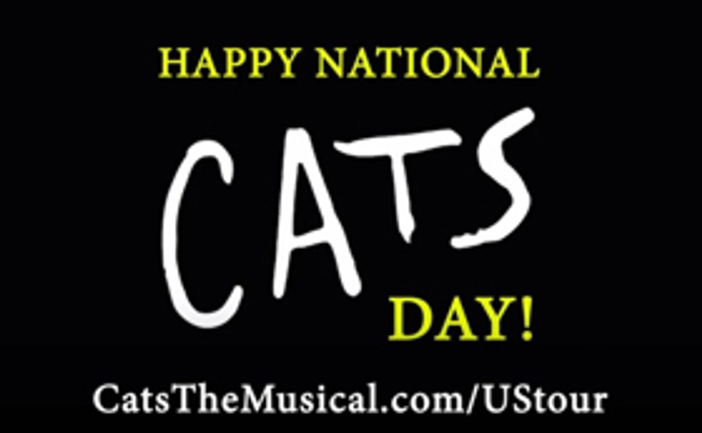 Keri Rene Fuller, Dan Hoy & More Will Lead CATS National Tour!  Image