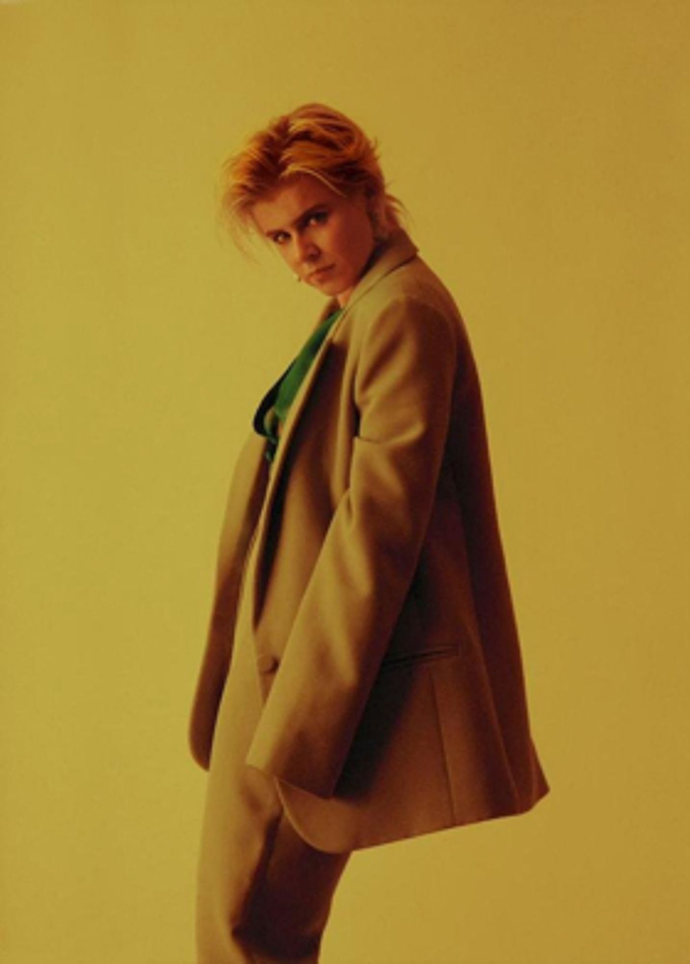 Robyn Announces North American Tour  Image