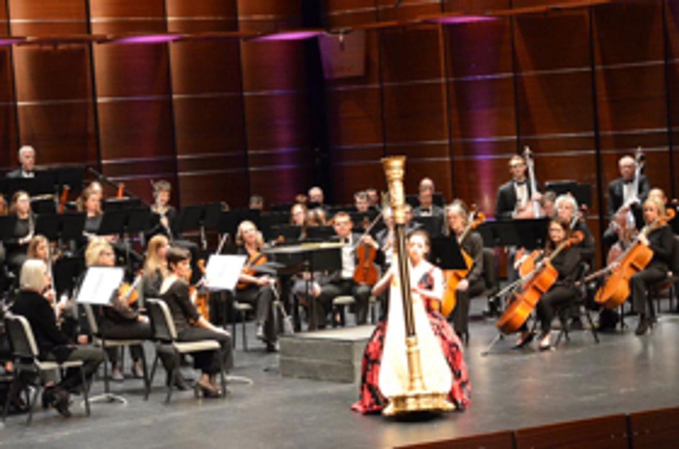 New Philharmonic Hosts Annual Young People's Competition Auditions May 19 New Philharmonic Hosts Annual Young People's Competition Auditions May 19 Image