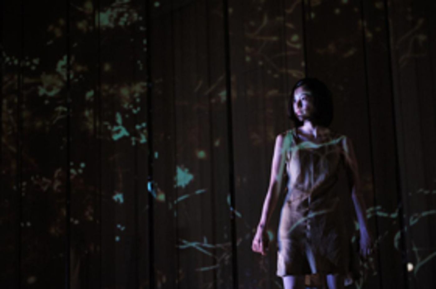 Kakuya Ohashi and Dancers estrenará The Lustrous durante su primera presentación en México Kakuya Ohashi and Dancers estrenará The Lustrous durante su primera presentación en México Image