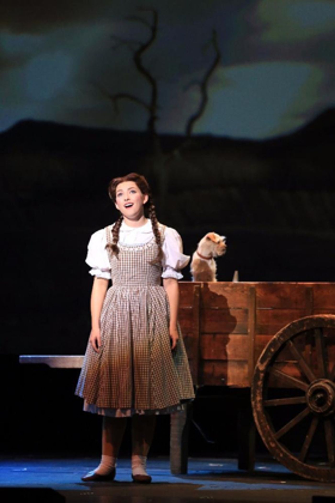 Review: WIZARD OF OZ at The Playhouse  Image