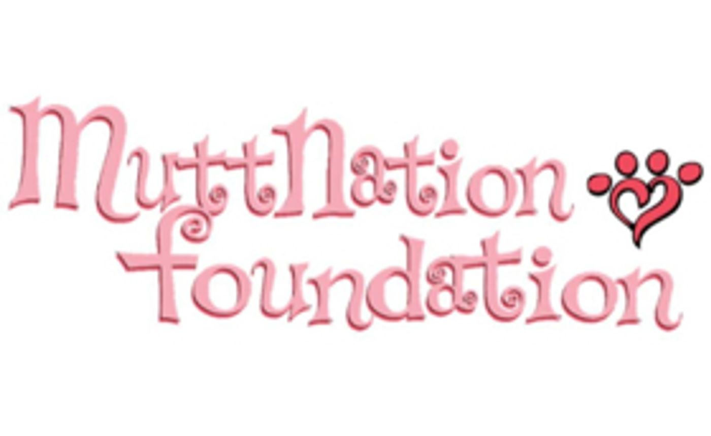 Miranda Lambert's MuttNation 'Best in Show' at the 2018 CMA Fest  Image