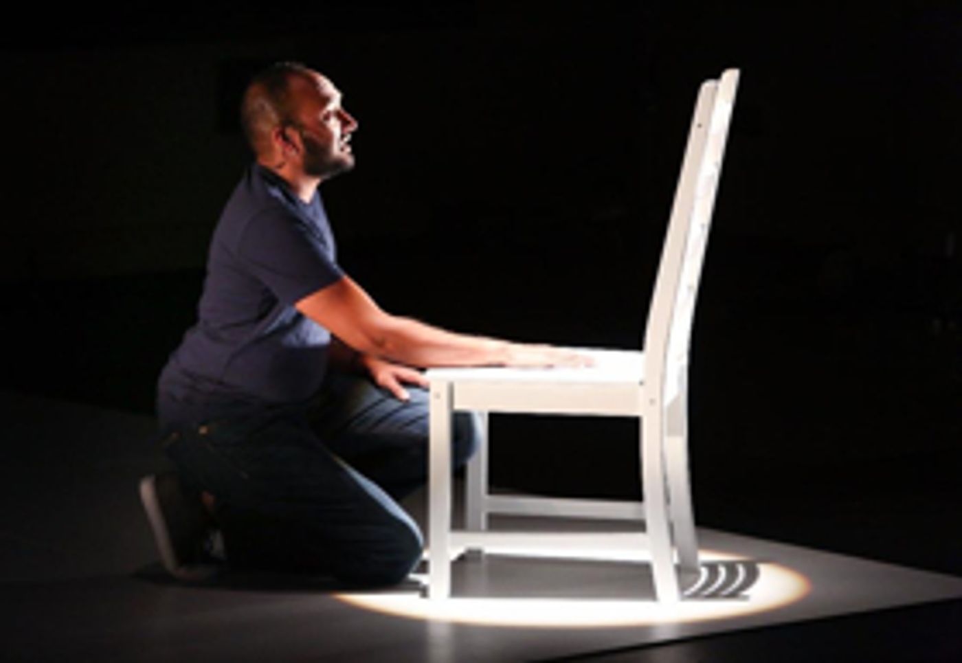 DRAW THE CIRCLE Joins an Unforgettable Repertory at Mosaic Theater Company  Image