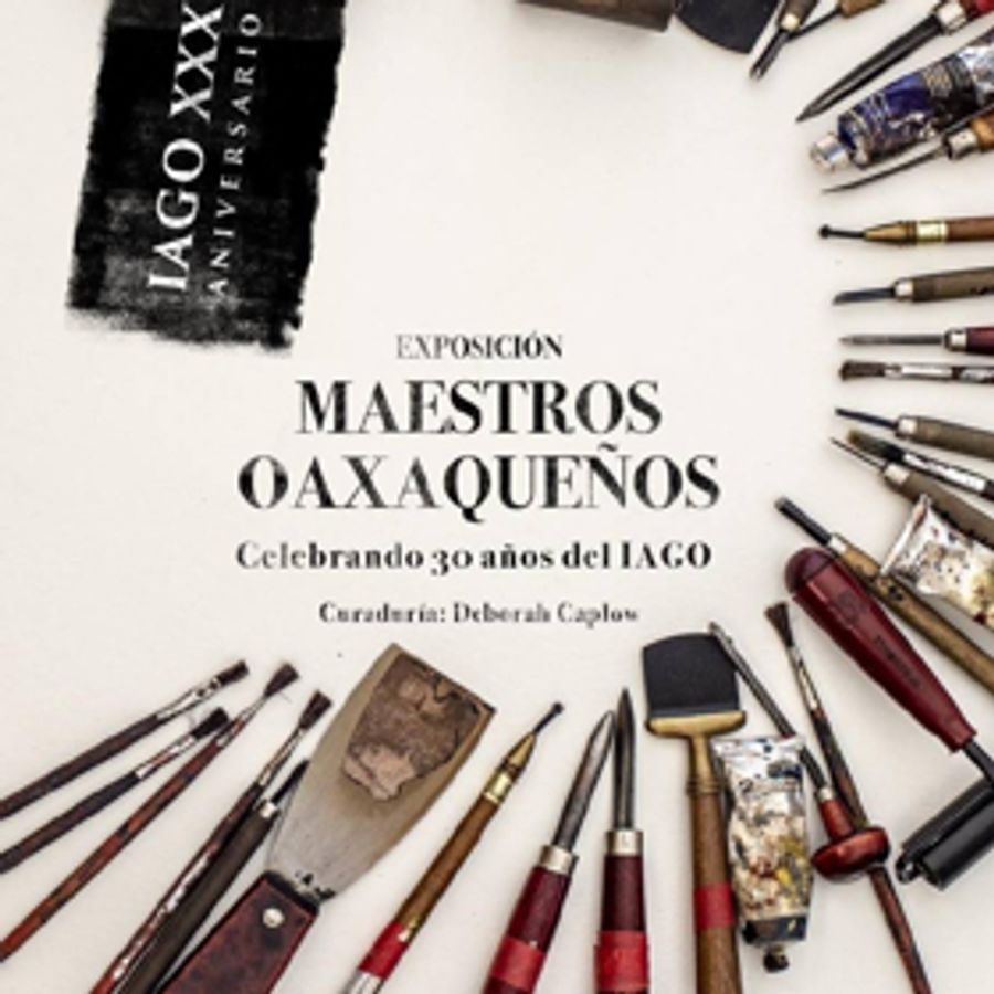 Maestros oaxaqueños celebran 30 años de existencia del IAGO Image