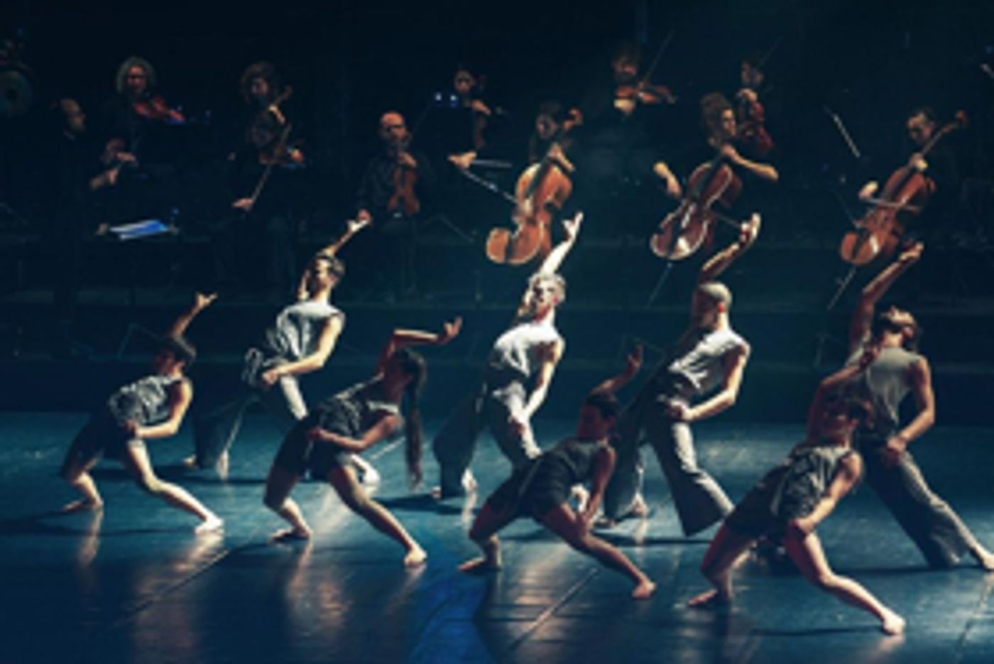 The Israeli Opera Announces WHITE NOISE World Premiere  Image