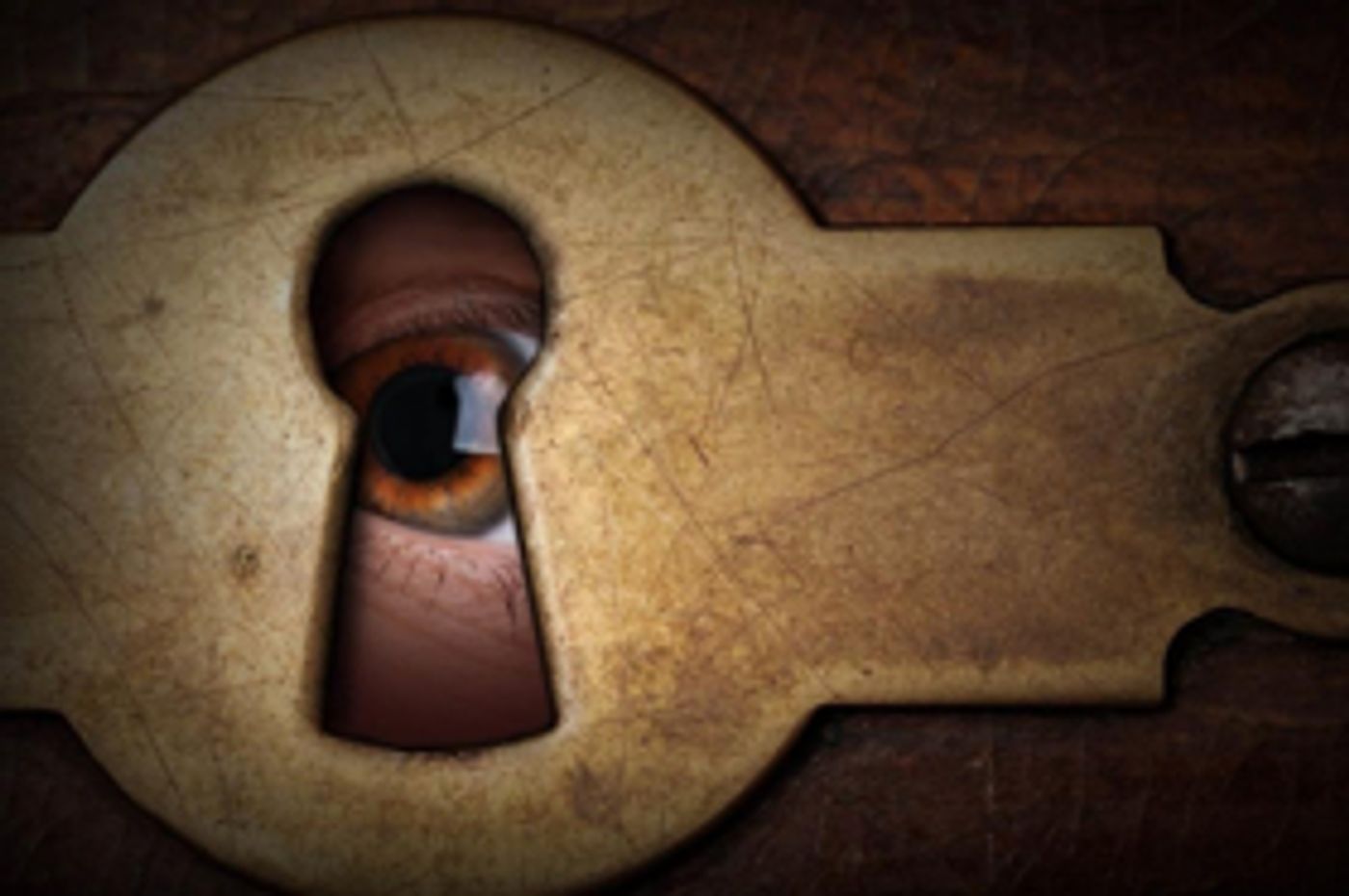 Review: WHAT THE BUTLER SAW Is An Absurd Mystery That Struggles To Retain Shock Value In The 21st Century  Image