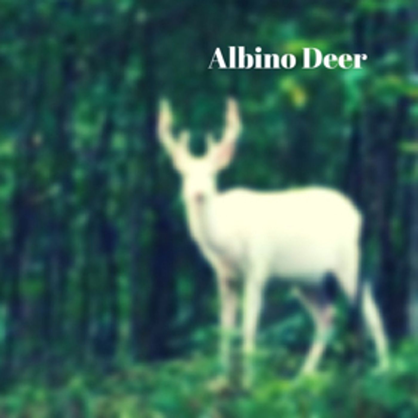 Quick Silver Theater Company Receives the EAG Open Stage Grant Quick Silver Theater Company Receives the EAG Open Stage Grant Image