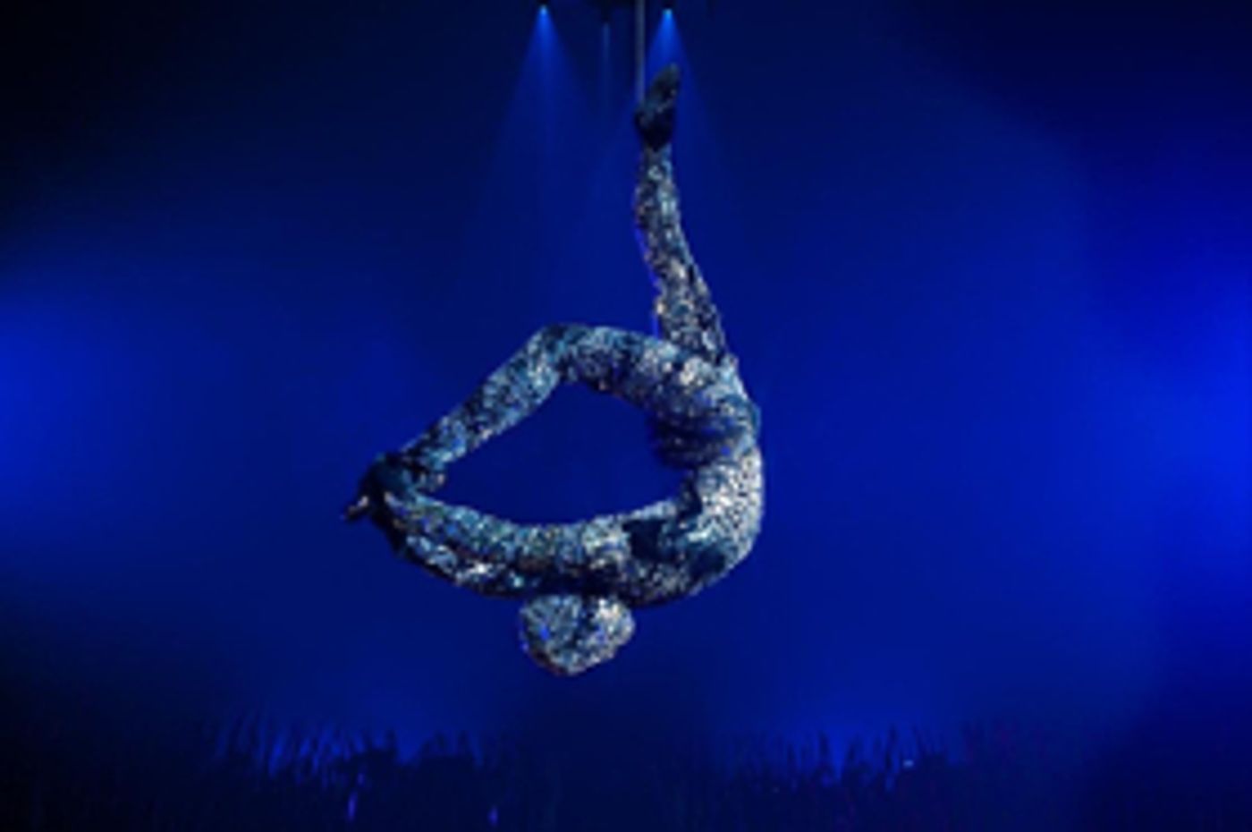 Review: TOTEM, Royal Albert Hall Review: TOTEM, Royal Albert Hall Image