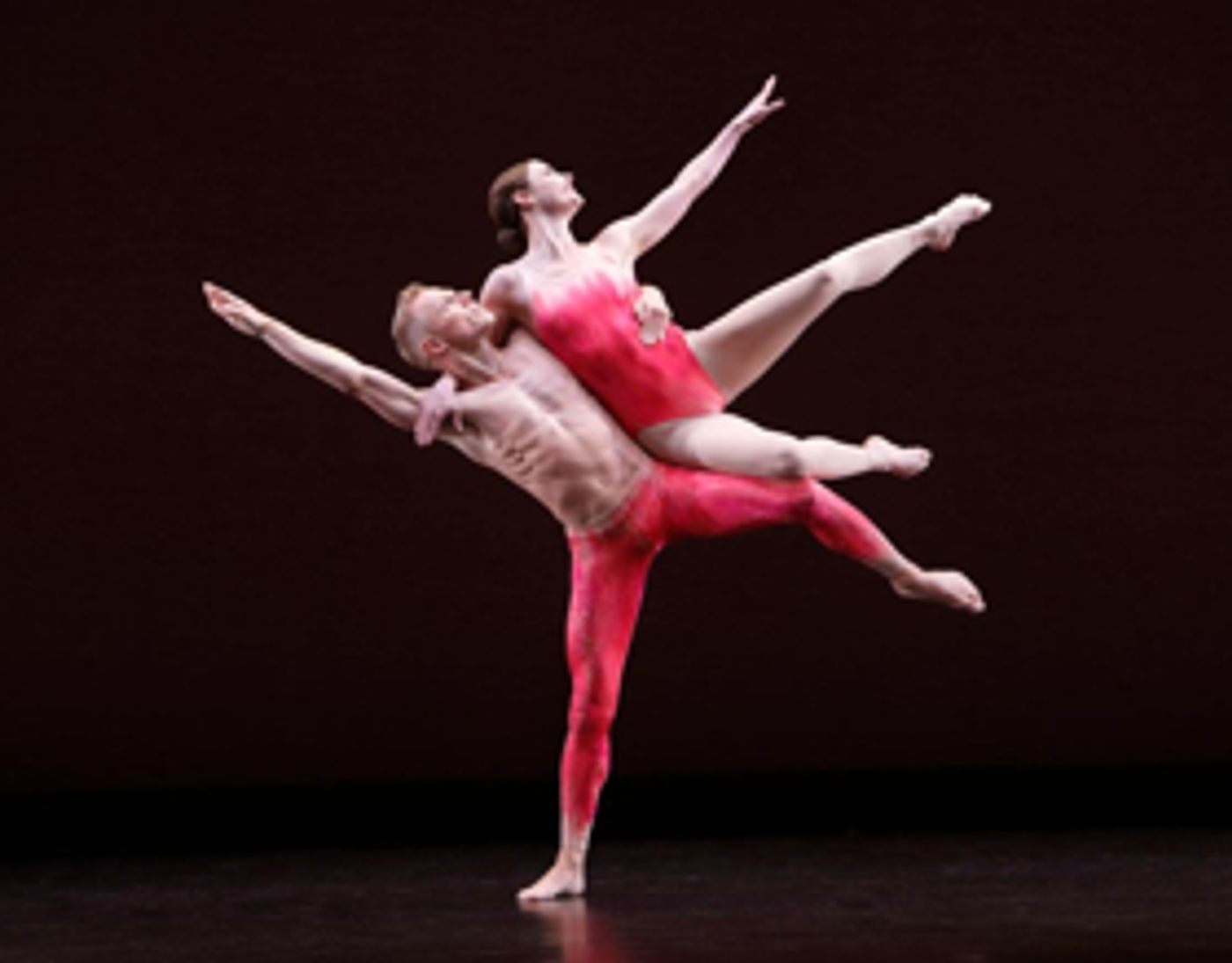 Paul Taylor Dancer Michael Trusnovec Announces Retirement Paul Taylor Dancer Michael Trusnovec Announces Retirement Image