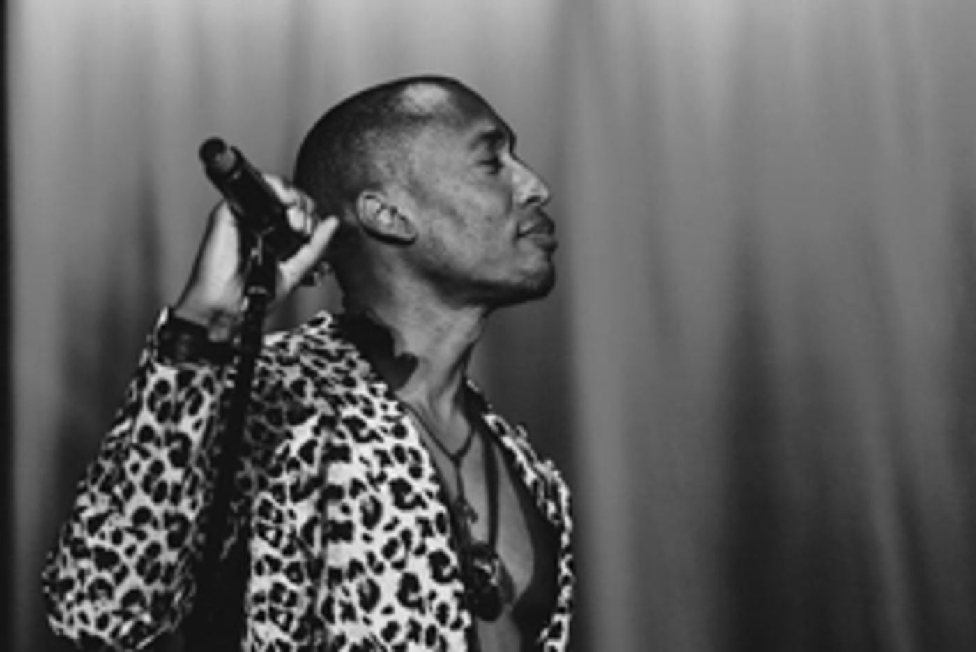 Raphael Saadiq Adds Ali Shaheed Muhammad to Summer Tour  Image