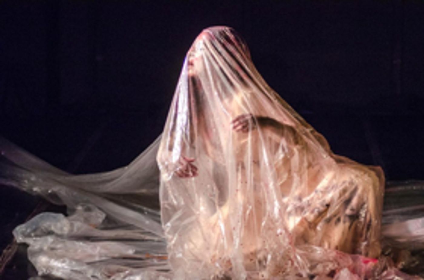 Desde la raíz de la danza butoh, Saga Kobayashi, Galia Eibenschutz, y Eugenia Vargas, dan funciones individuales Desde la raíz de la danza butoh, Saga Kobayashi, Galia Eibenschutz, y Eugenia Vargas, dan funciones individuales Image