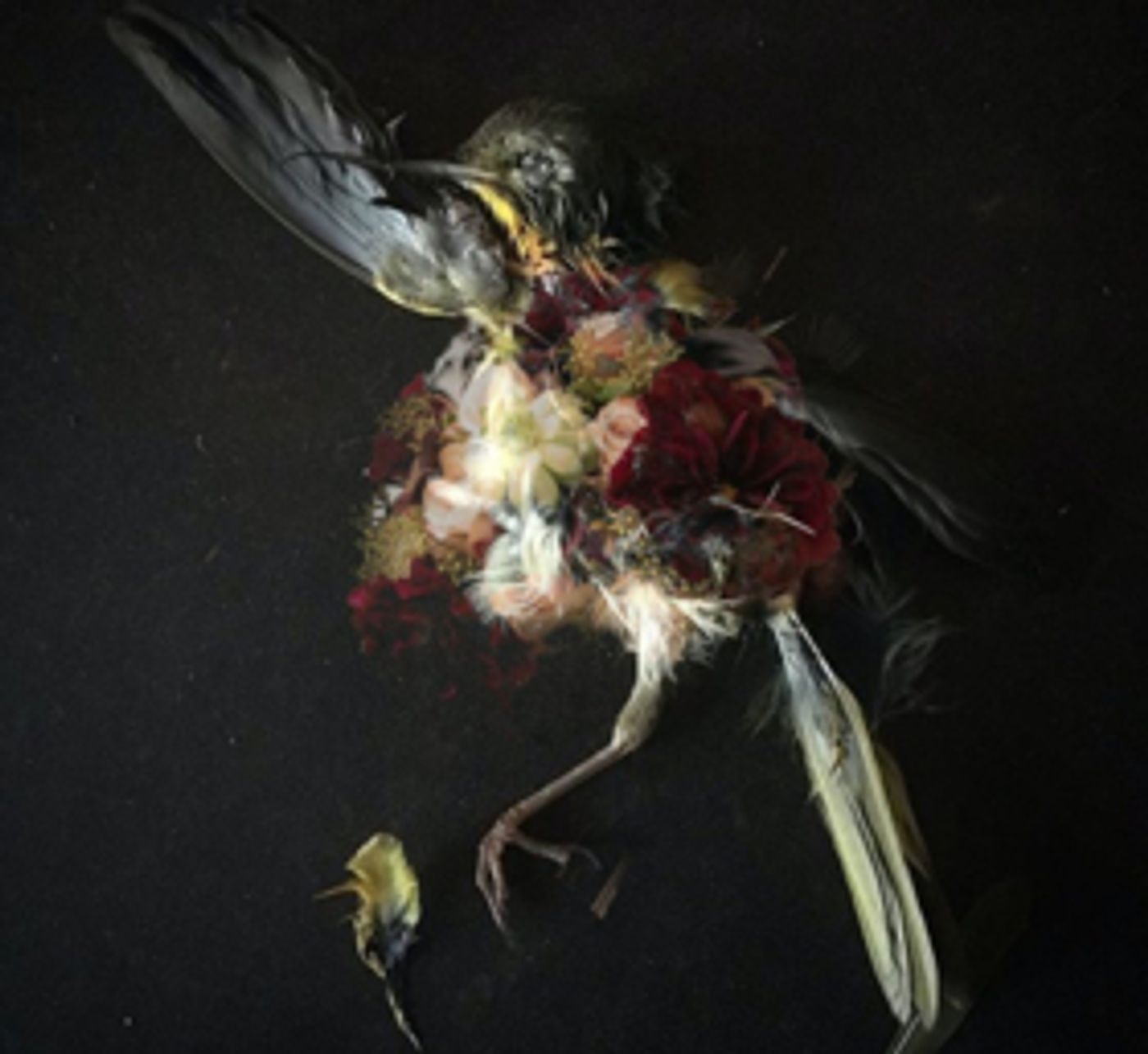 Saver To Release THE FIRST STEP IN LEAVING On 5/9 Saver To Release THE FIRST STEP IN LEAVING On 5/9 Image