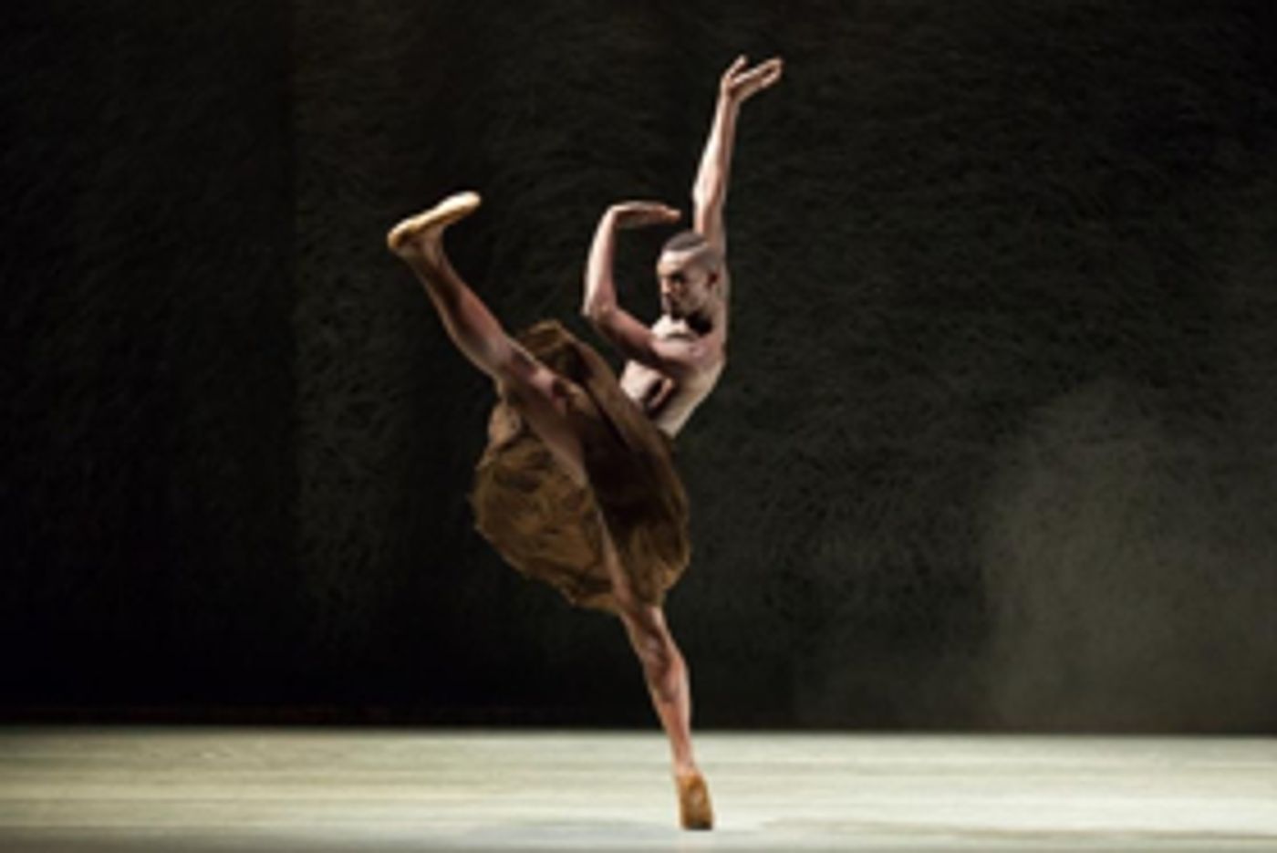 Alonzo King Travels to Paris to commemorate Universal Declaration on Human Rights  Image