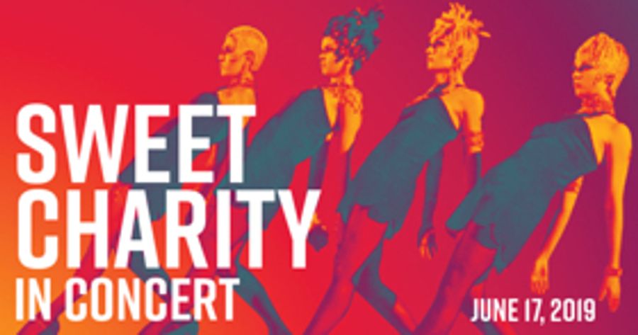 Hey, Big Spender! Transport Group Announces SWEET CHARITY IN CONCERT Image