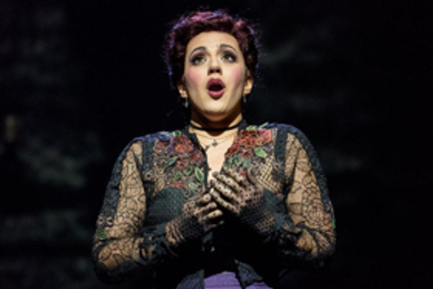 Chicago Opera Theater to Bring ELIZABETH CREE World Premiere to the Windy City  Image