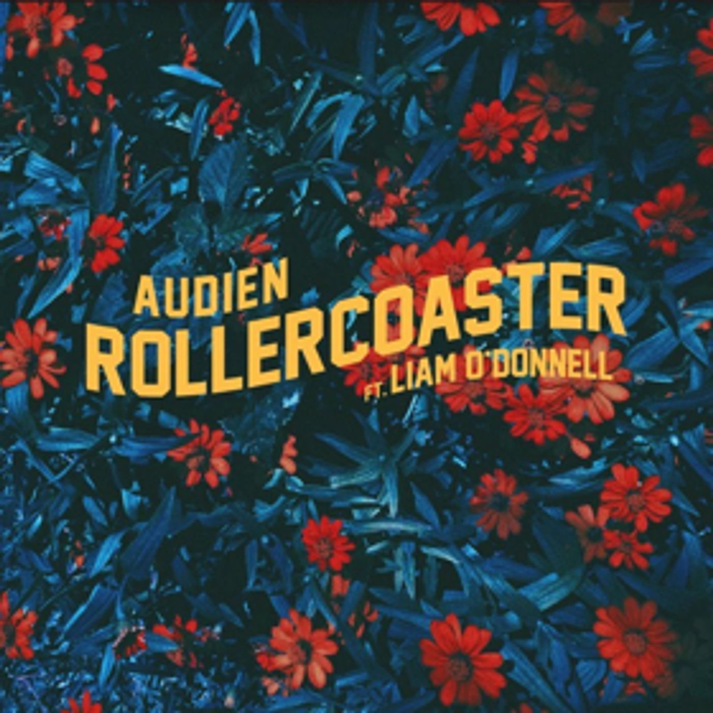 Audien Releases ROLLERCOASTER Feat. Liam O'Donnell  Image