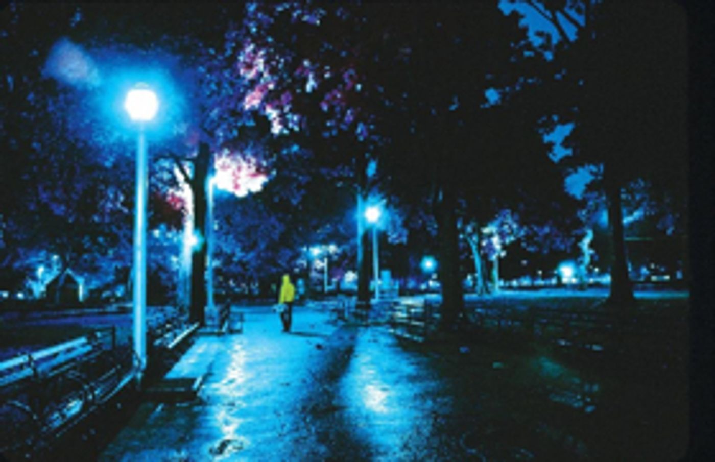 Phil Kline's Avant-Garde Holiday Tradition UNSILENT NIGHT to Parade Through 37 Cities This December  Image