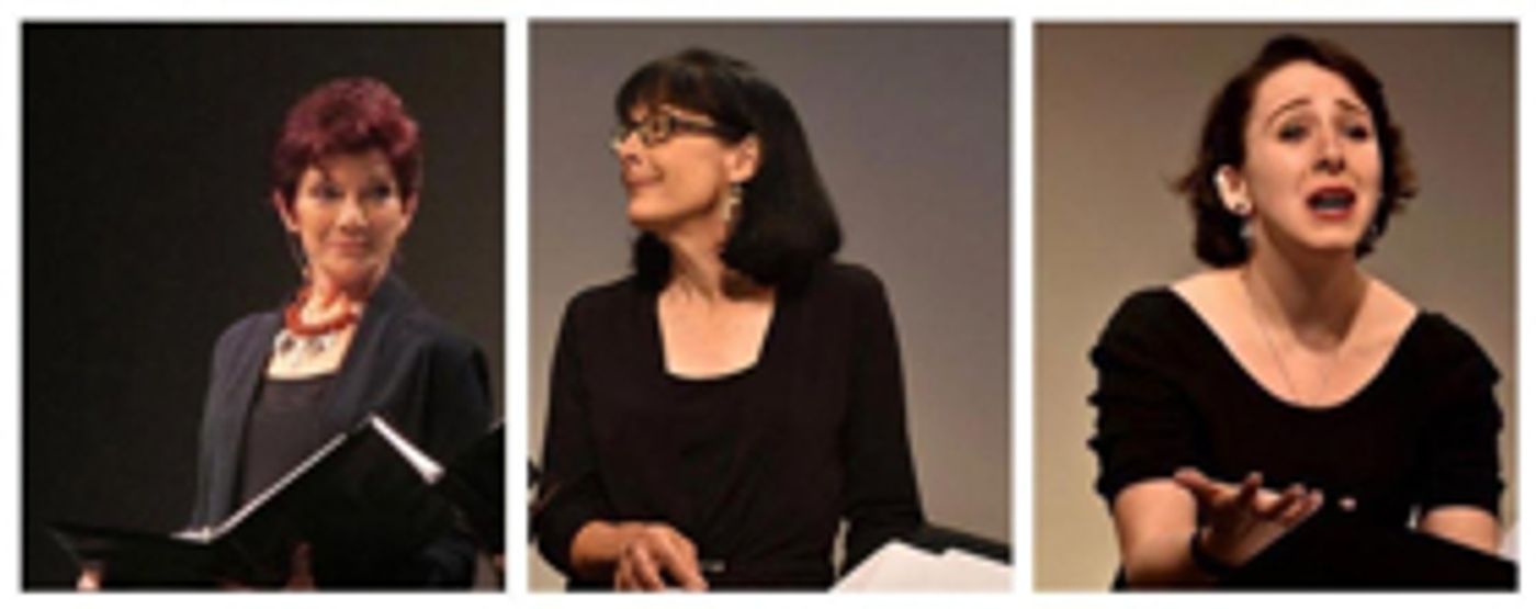 Jewish Women's Theatre's 10th Anniversary Salon Season Kicks Off With THE ACCIDENTAL ACTIVIST  Image