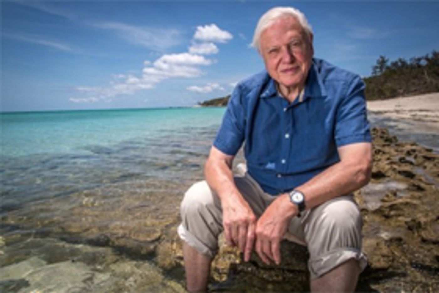 Smithsonian Channel Presents DAVID ATTENBOROUGH'S GREAT BARRIER REEF, Today  Image