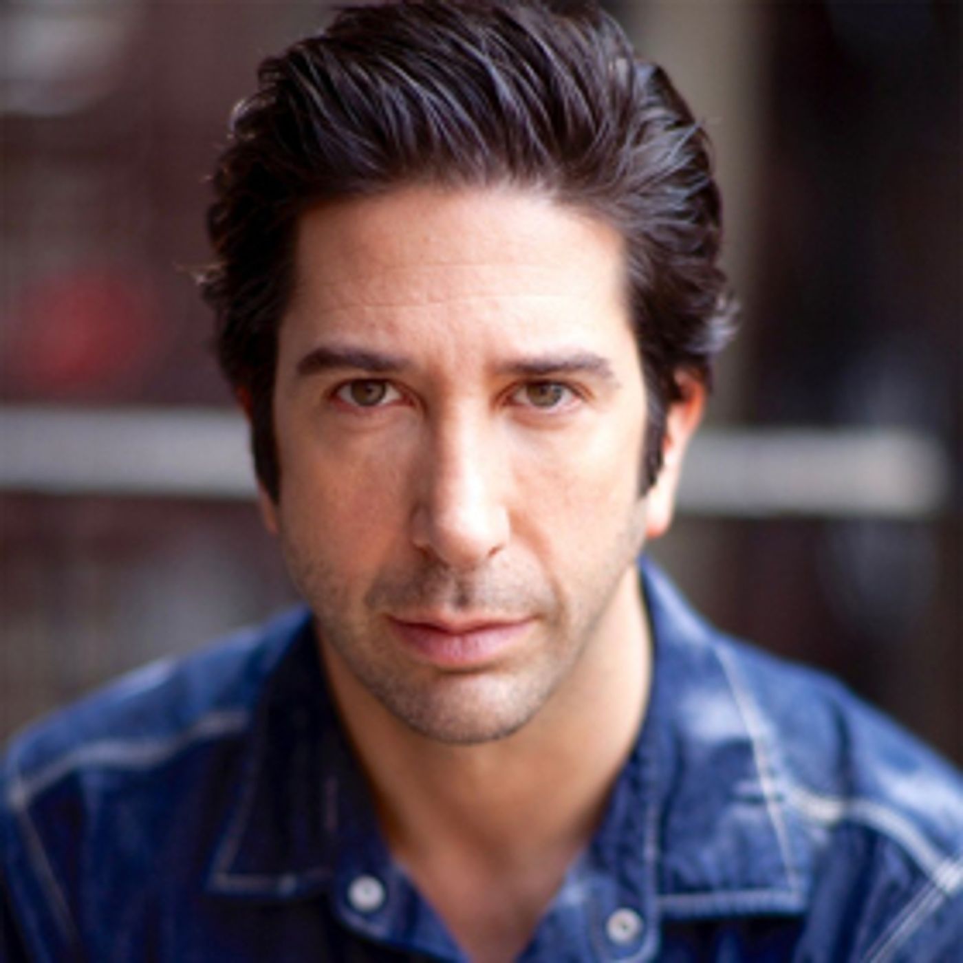 David Schwimmer to Helm PLANTATION! Premiere at Lookingglass Theatre  Image