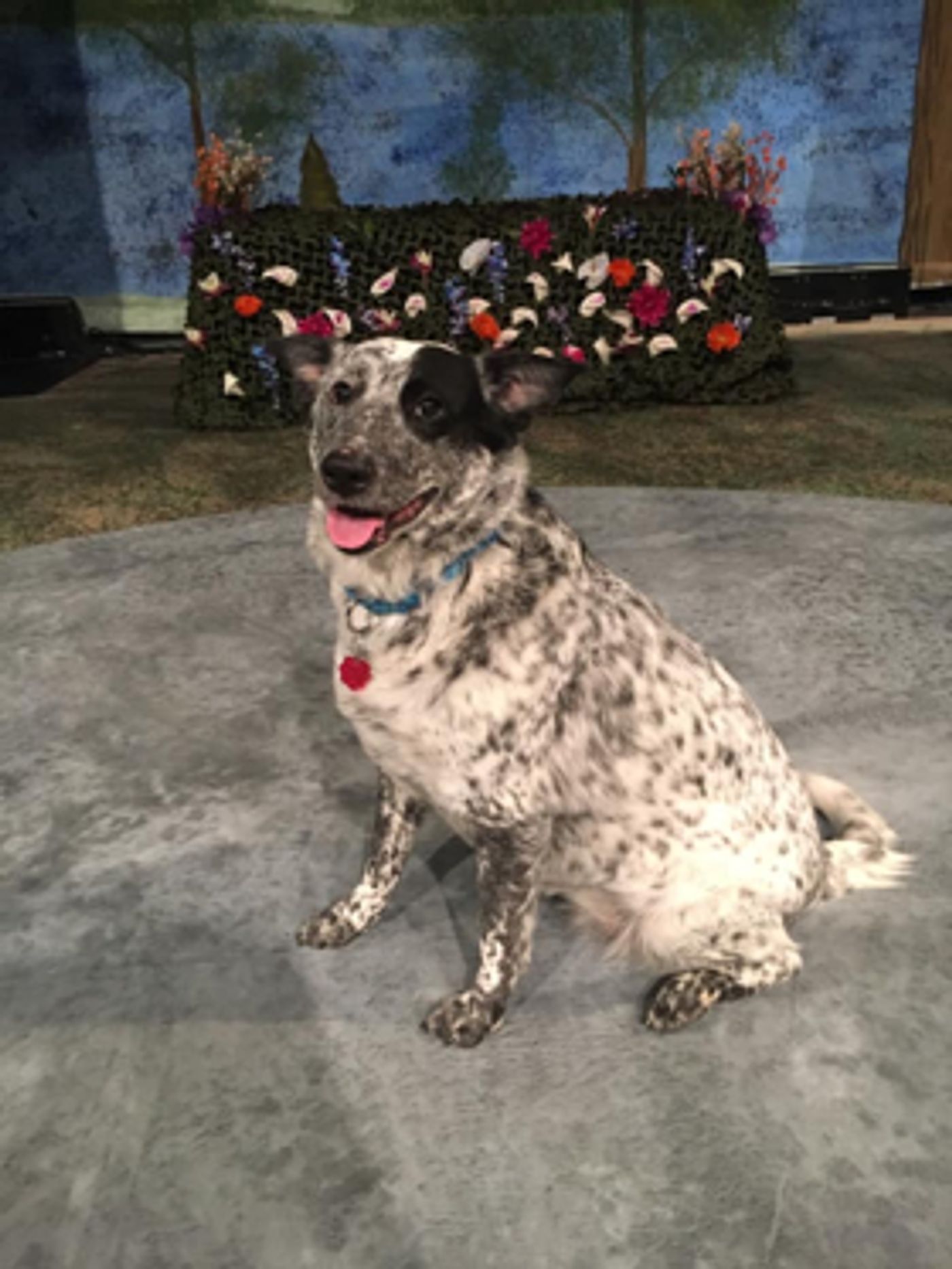 BWW Blog: Midsummer Closing BWW Blog: Midsummer Closing Image