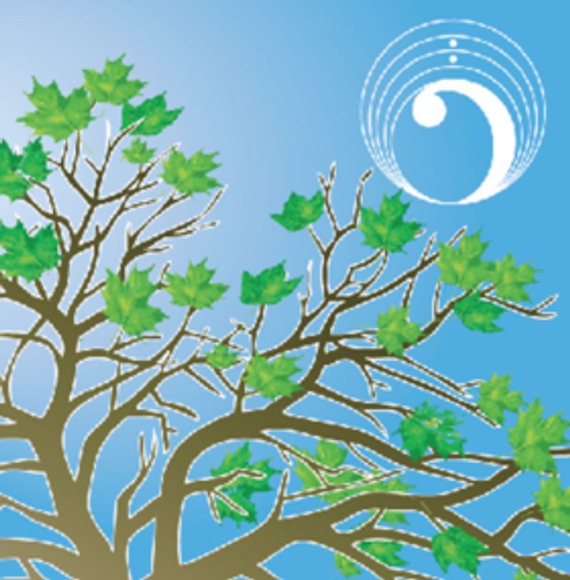 Colorado Vocal Arts Ensemble Presents DA VINCI'S DREAMS: MUSIC AND THE NATURE OF GENIUS Image