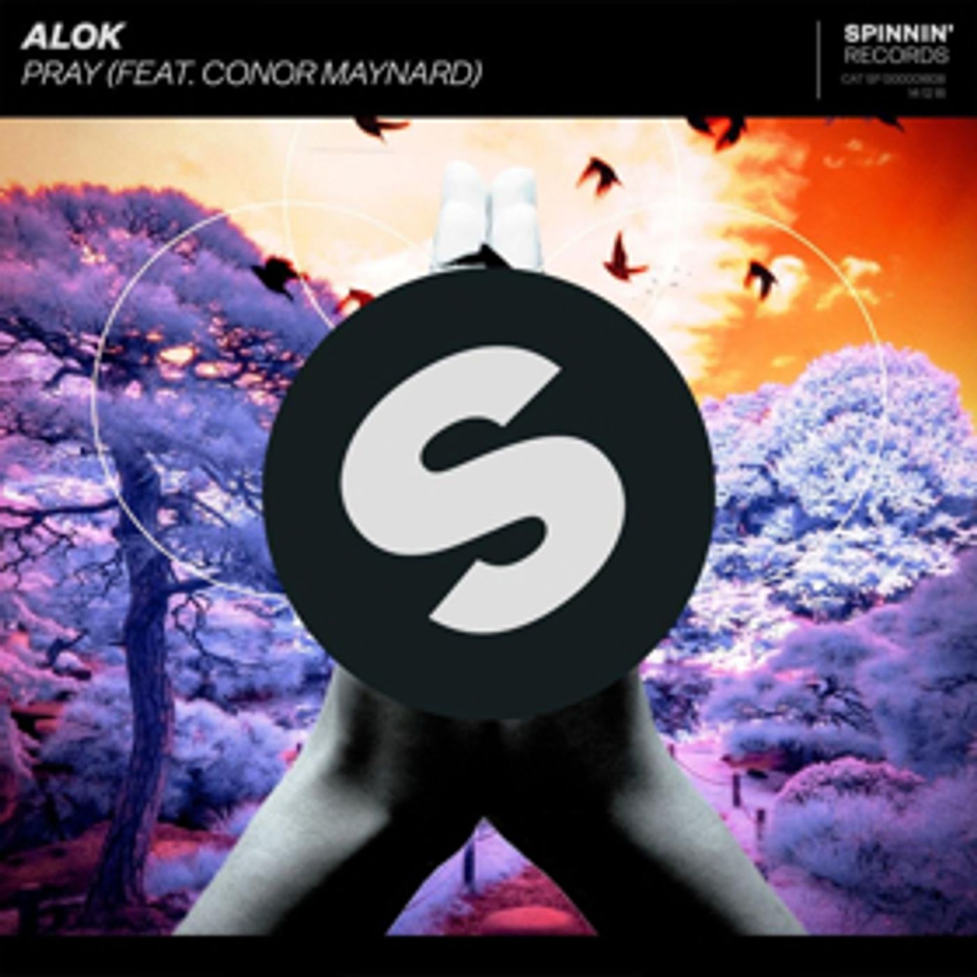 Alok Sparks Emotion With PRAY Featuring Conor Maynard Alok Sparks Emotion With PRAY Featuring Conor Maynard Image